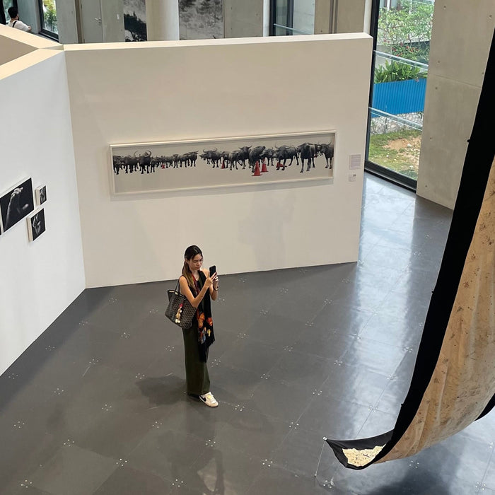 Interior Design, TikTok Creator